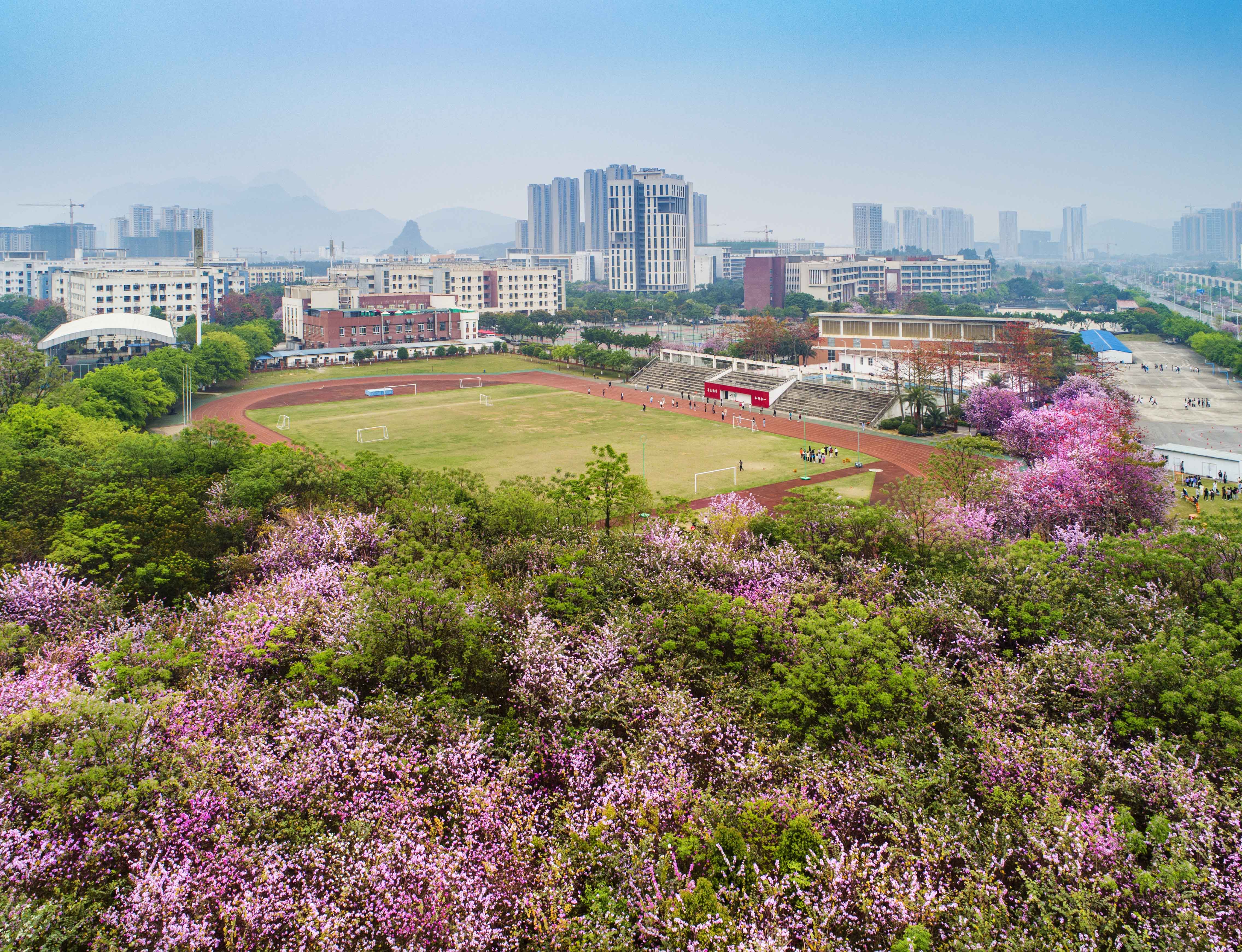 校园全景(点击更多-柳州工学院招生网